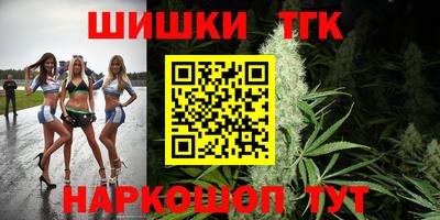 дмт Заводоуковск